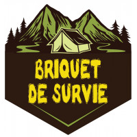 Briquet Tempete Survie